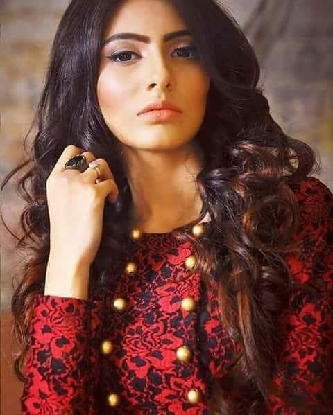 Jessia Islam Miss World Bangladesh 2017 - Finalist Miss World 2017 (Photo Courtesy: Miss World/ Facebook Official)