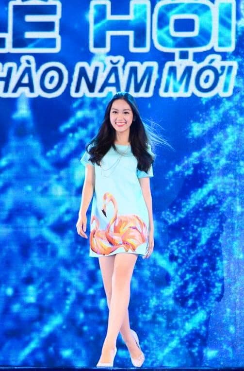Pham Ngoc Phuong Linh Contestant Miss World Vietnam 2016