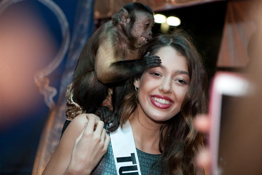 Dilan Cicek Deniz Miss Universe Turkey 2014