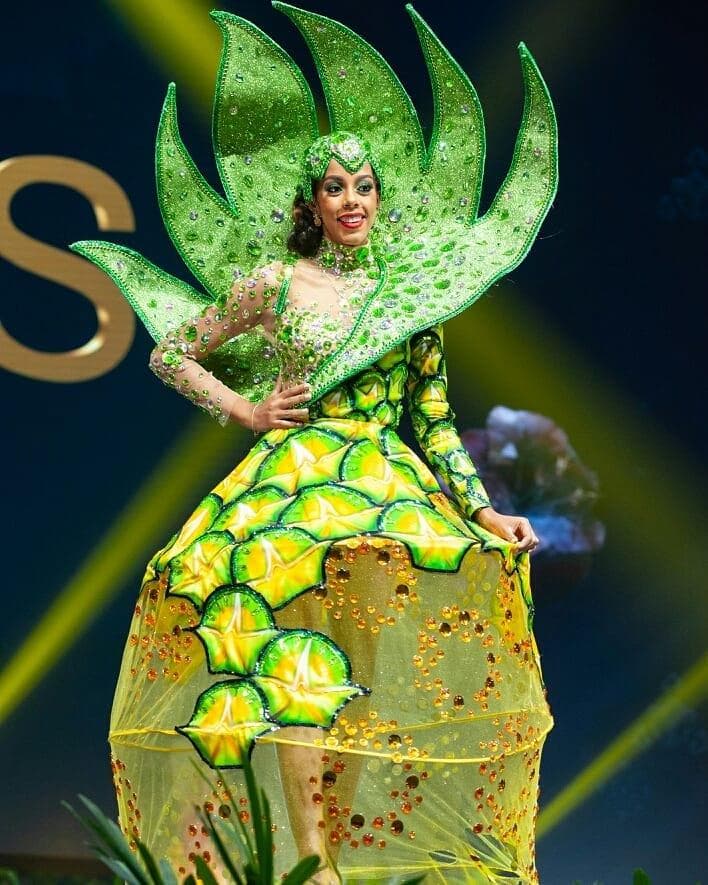 Danielle Simone Grant Miss Universe Bahamas 2018, Miss Universe 2018 Contestant at National Costume Competition (Photo Courtesy: Miss Universe/Candidate FaceBook/ Instagram)