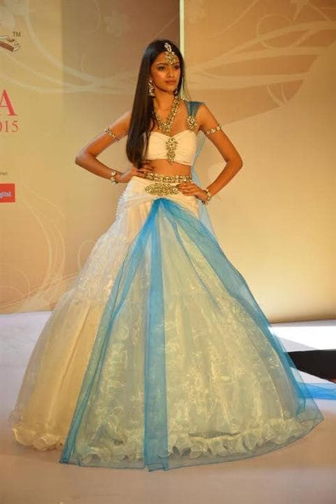 Rakshitha Harimurthy for Femina Miss India 2015  during National Costume (Photo credits - Femina Miss India official)