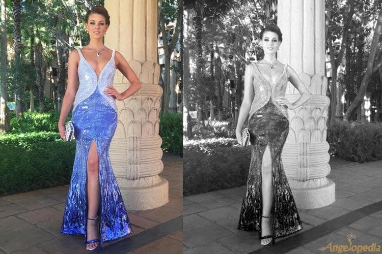 Rolene Strauss at Miss South Africa 2015 finals