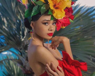 Brianna McSween crowned Miss Earth US Virgin Islands 2024