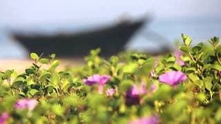 Alankrita Sahai Miss Earth India 2014 Eco Tourism Video