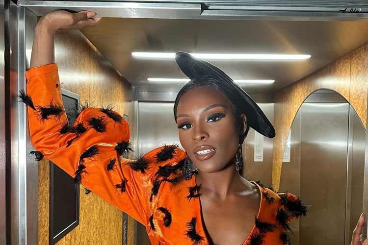 Sectra Okundaye Miss Supranational Nigeria 2024